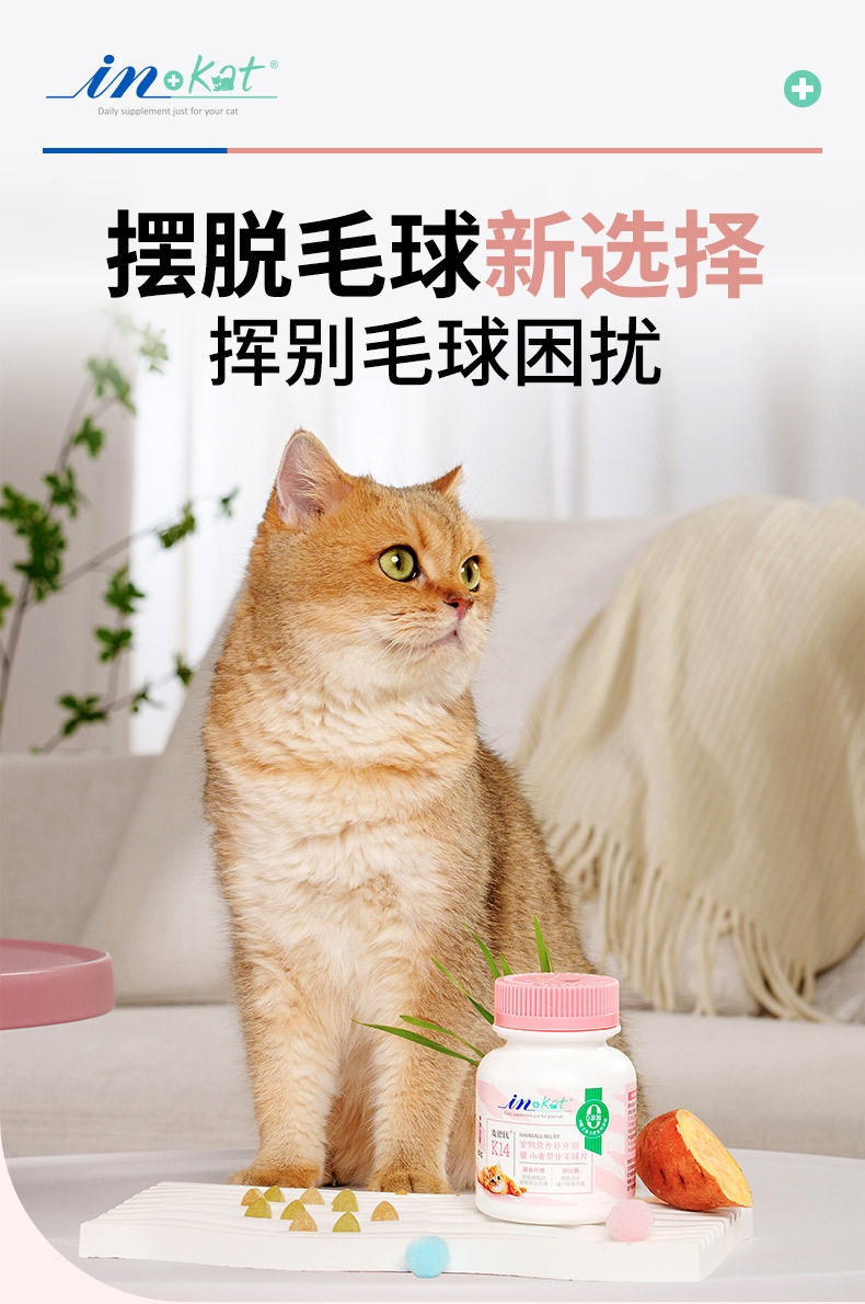 麦德氏 In-kat 猫咪小麦草化毛片60g 120片/瓶 促排毛球