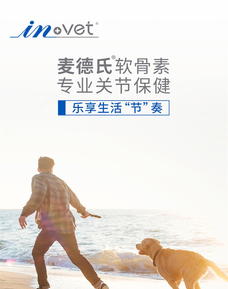麦德氏 In-vet 犬用鲨鱼软骨素 340g 润化关节