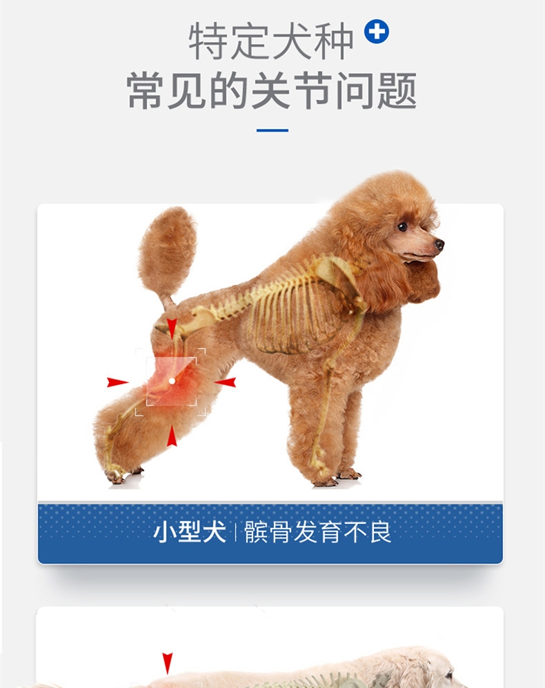 麦德氏 In-vet 犬用鲨鱼软骨素 340g 润化关节
