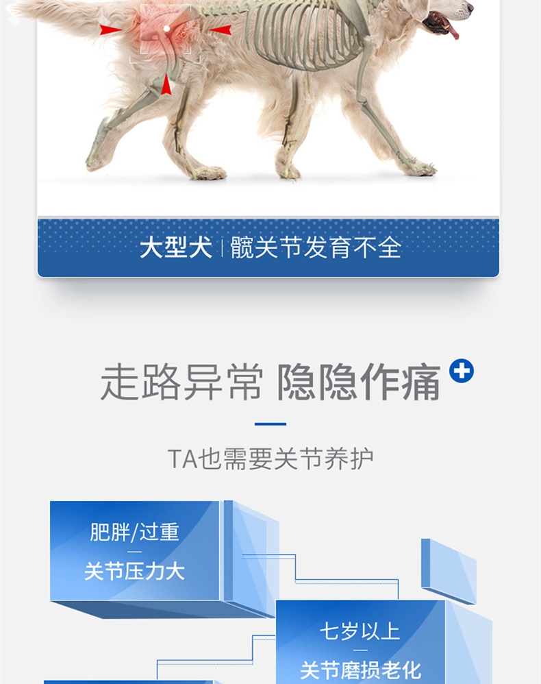 麦德氏 In-vet 犬用鲨鱼软骨素 340g 润化关节