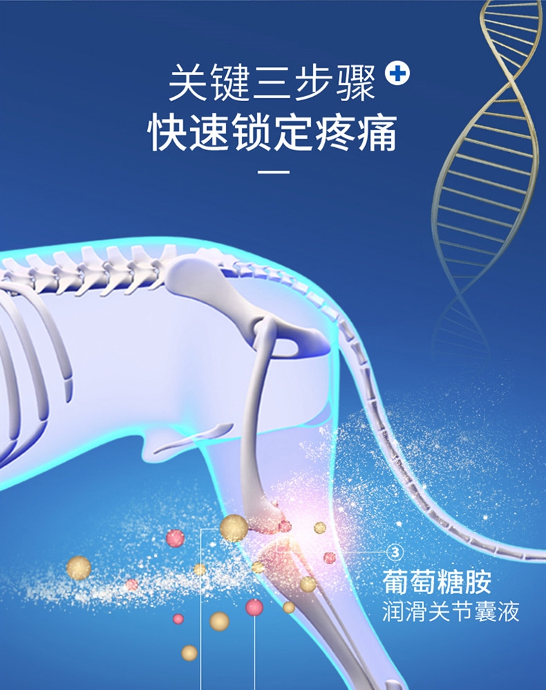 麦德氏 In-vet 犬用鲨鱼软骨素 340g 润化关节