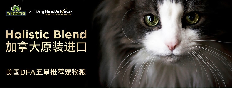 活力枫叶 黑金系列火鸡深海鱼无谷全猫配方猫粮 15lb