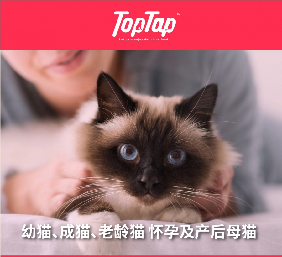 塔泰 猫用卵磷脂精华锭 300g