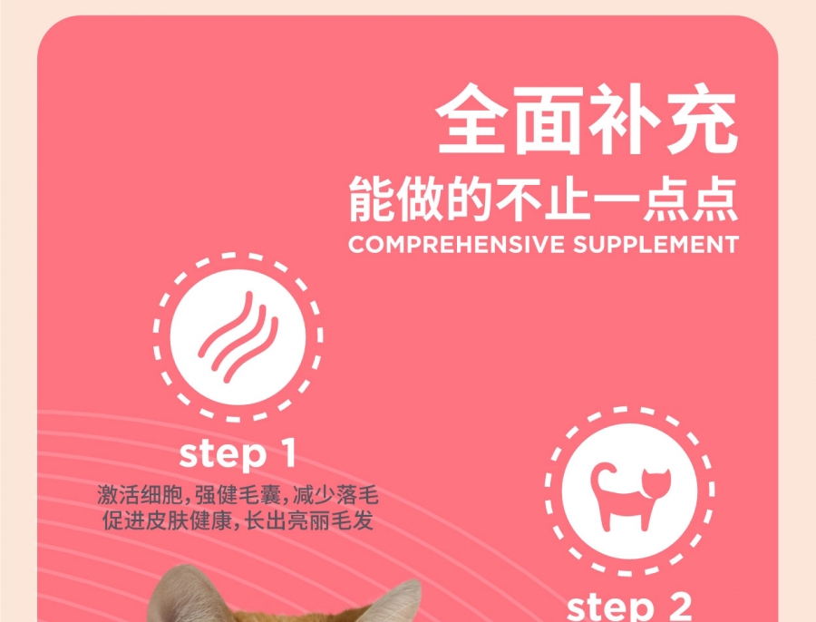 塔泰 猫用卵磷脂精华锭 300g