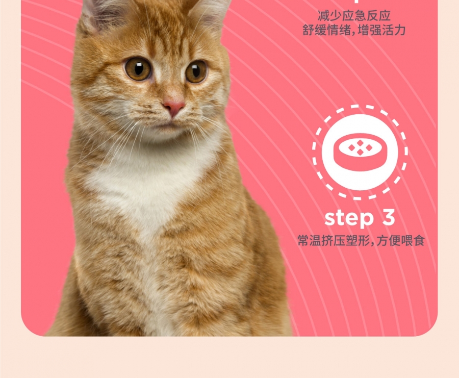 塔泰 猫用卵磷脂精华锭 300g