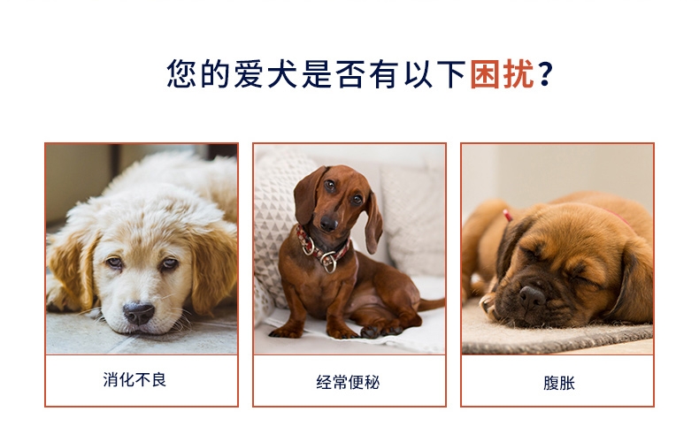 Dr.clauder 克劳德 犬用整肠营养膏 150g/支 呵护肠胃 德国进口
