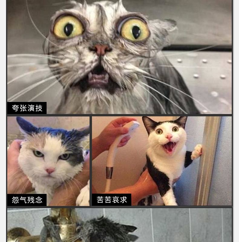 月亮喵喵 愉悦香澎猫香波 150ml 猫沐浴露 温和不刺激
