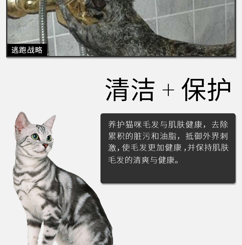 月亮喵喵 愉悦香澎猫香波 150ml 猫沐浴露 温和不刺激