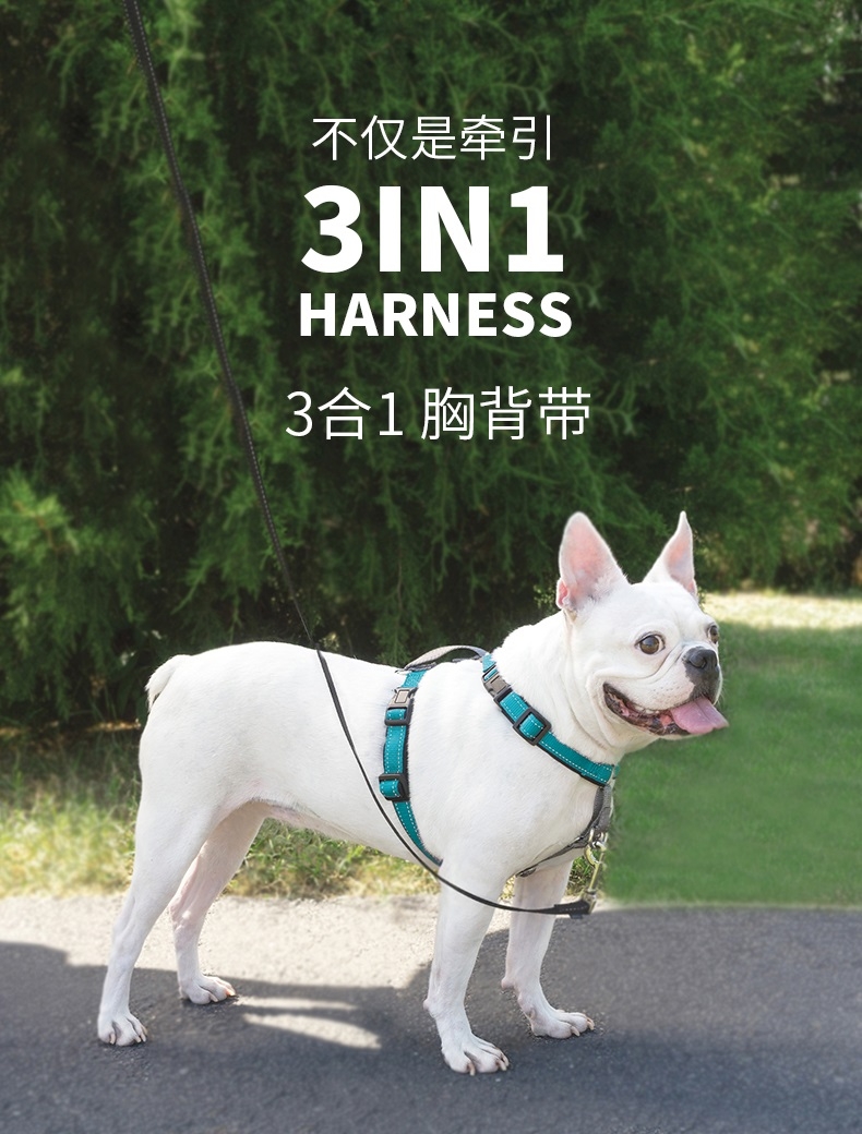 美国贝适安PetSafe 3合1狗狗胸背带套装