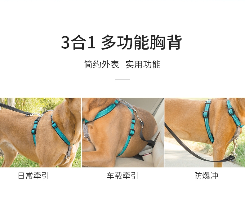 美国贝适安PetSafe 3合1狗狗胸背带套装