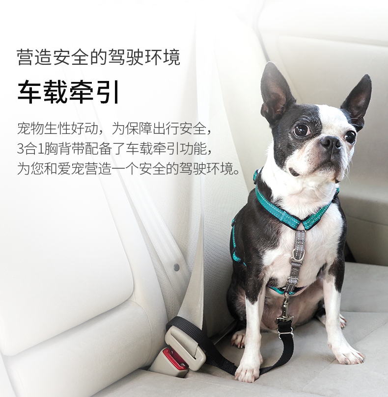 美国贝适安PetSafe 3合1狗狗胸背带套装