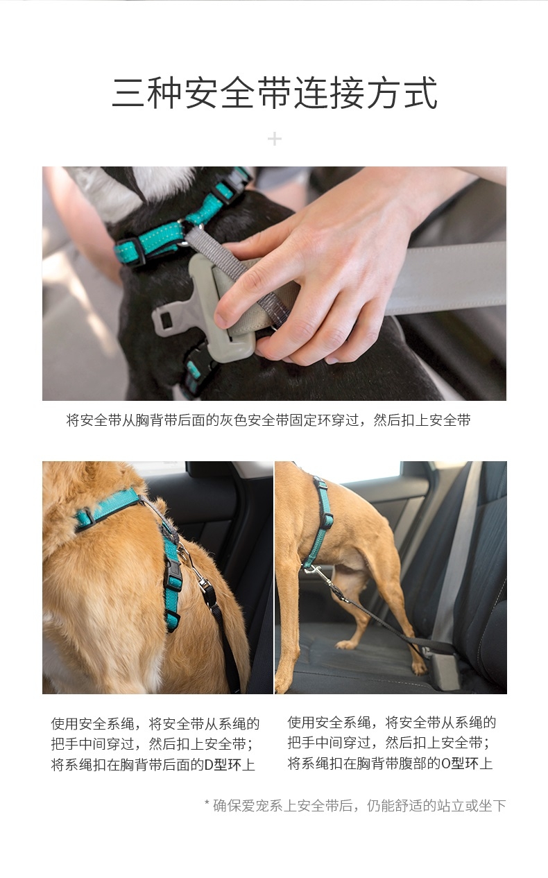 美国贝适安PetSafe 3合1狗狗胸背带套装
