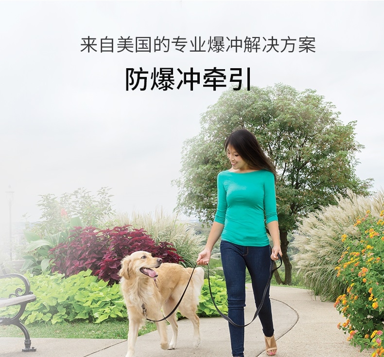 美国贝适安PetSafe 3合1狗狗胸背带套装