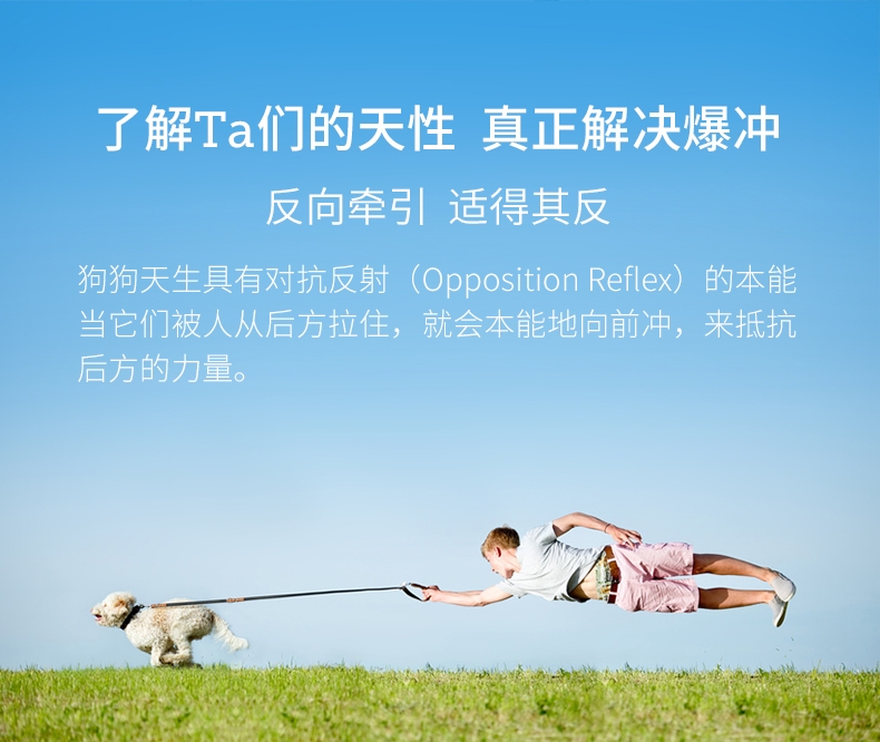 美国贝适安PetSafe 3合1狗狗胸背带套装