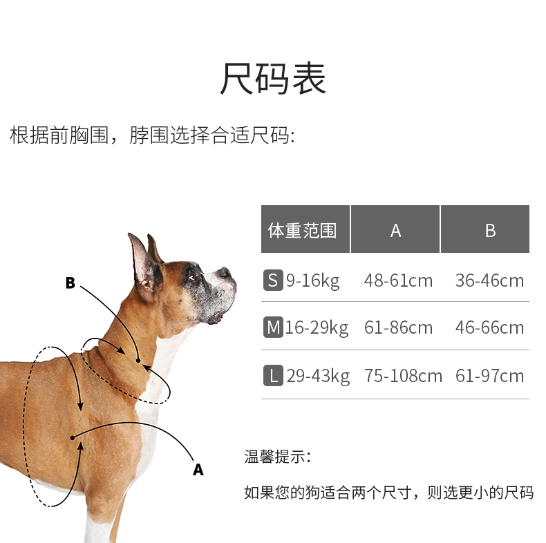 美国贝适安PetSafe 3合1狗狗胸背带套装