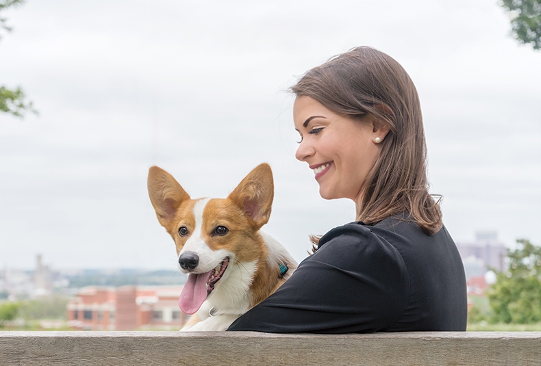 美国贝适安PetSafe 3合1狗狗胸背带套装