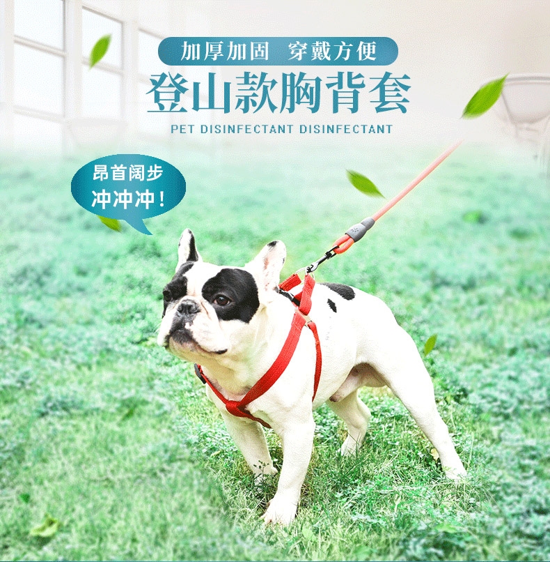伊丽Elite 登山款胸背两件套狗用三角胸背带牵引绳套装 狗胸背带