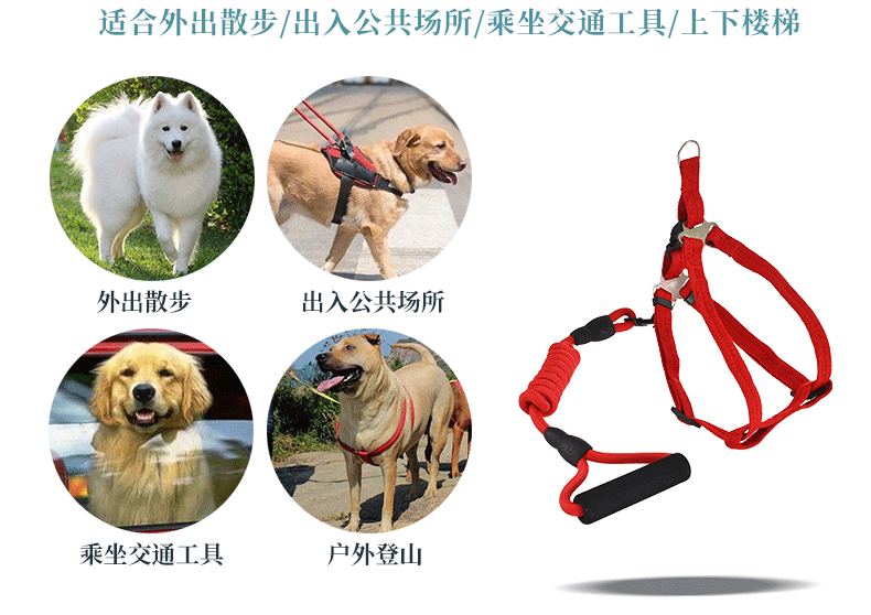 伊丽Elite 登山款胸背两件套狗用三角胸背带牵引绳套装 狗胸背带