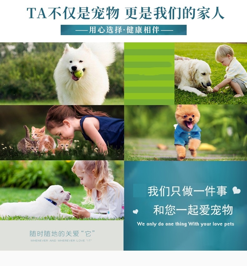 伊丽Elite 登山款胸背两件套狗用三角胸背带牵引绳套装 狗胸背带