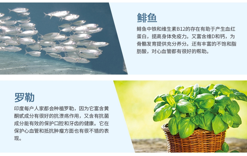 Pronature Holistic枫趣 地中海盛宴鲱鱼三文鱼无谷配方猫粮 6kg【保质期至2020年1月19日】