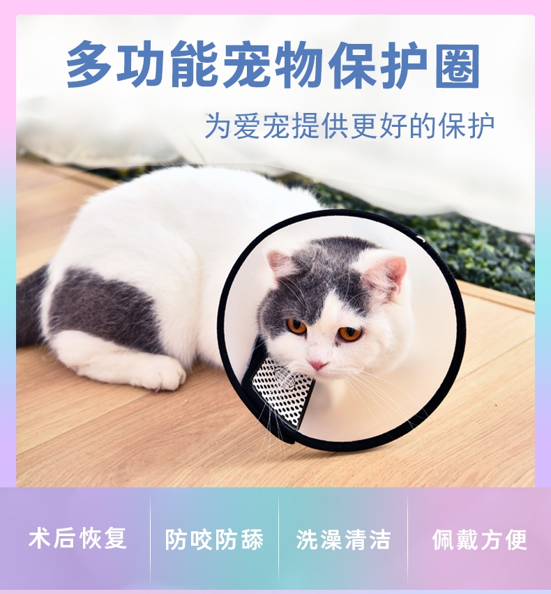 伊丽莎白圈防舔舐项圈围脖 猫狗通用