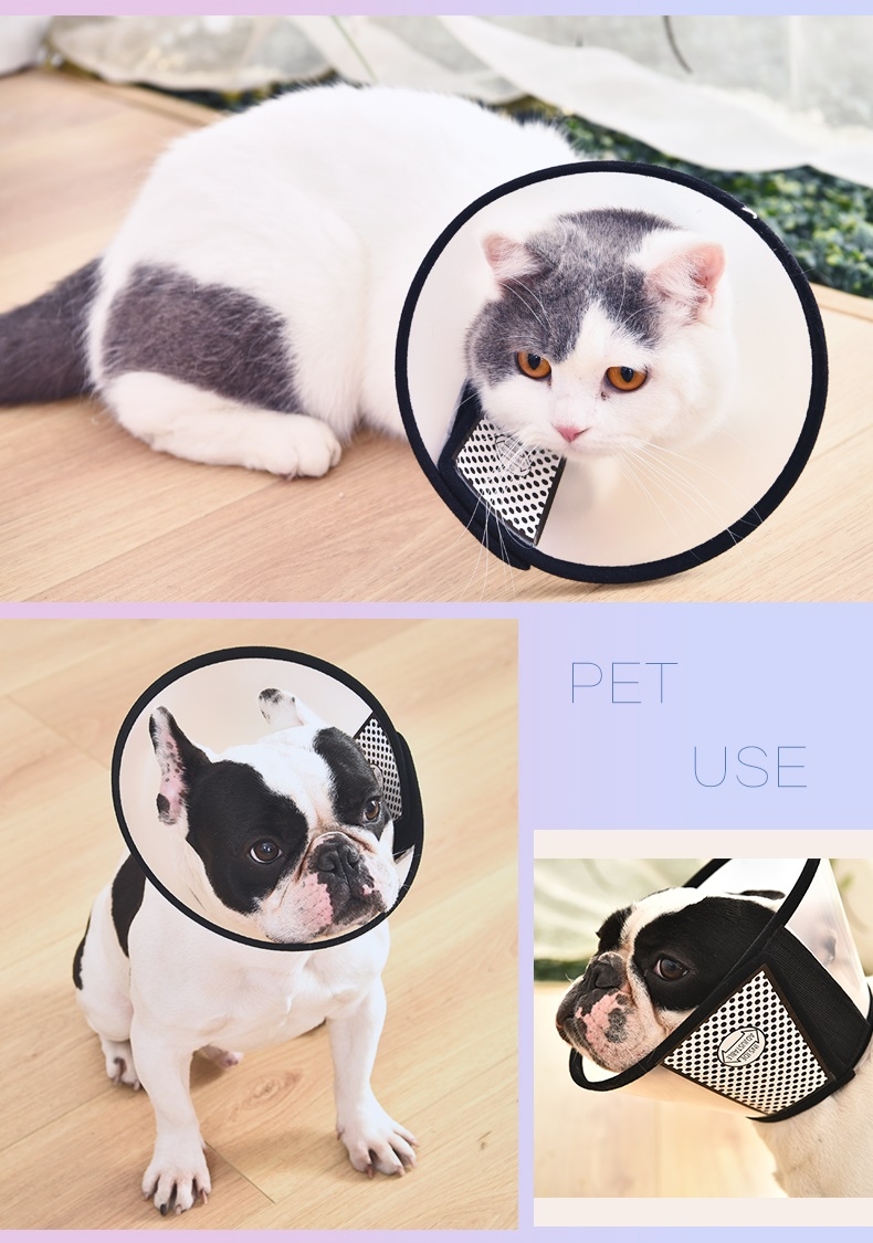 伊丽莎白圈防舔舐项圈围脖 猫狗通用
