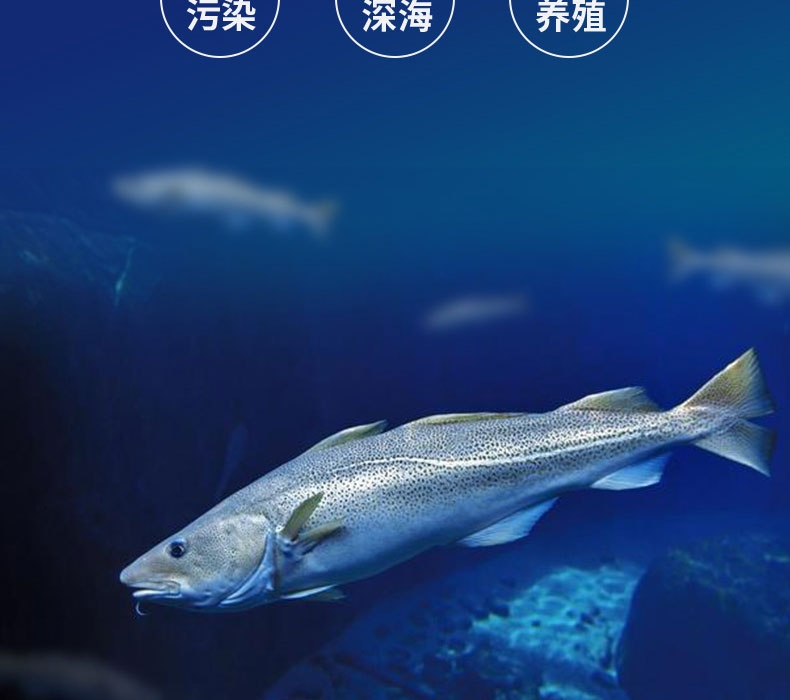 真致ZEAL 风干深海长尾蓝鳕鱼皮125g 狗零食 新西兰进口