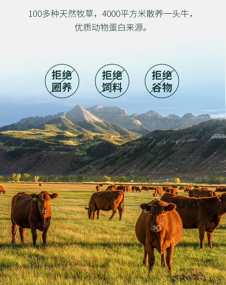 非卖品【试用装】ZEAL 全价软犬粮含牛肉配方 0.05kg
