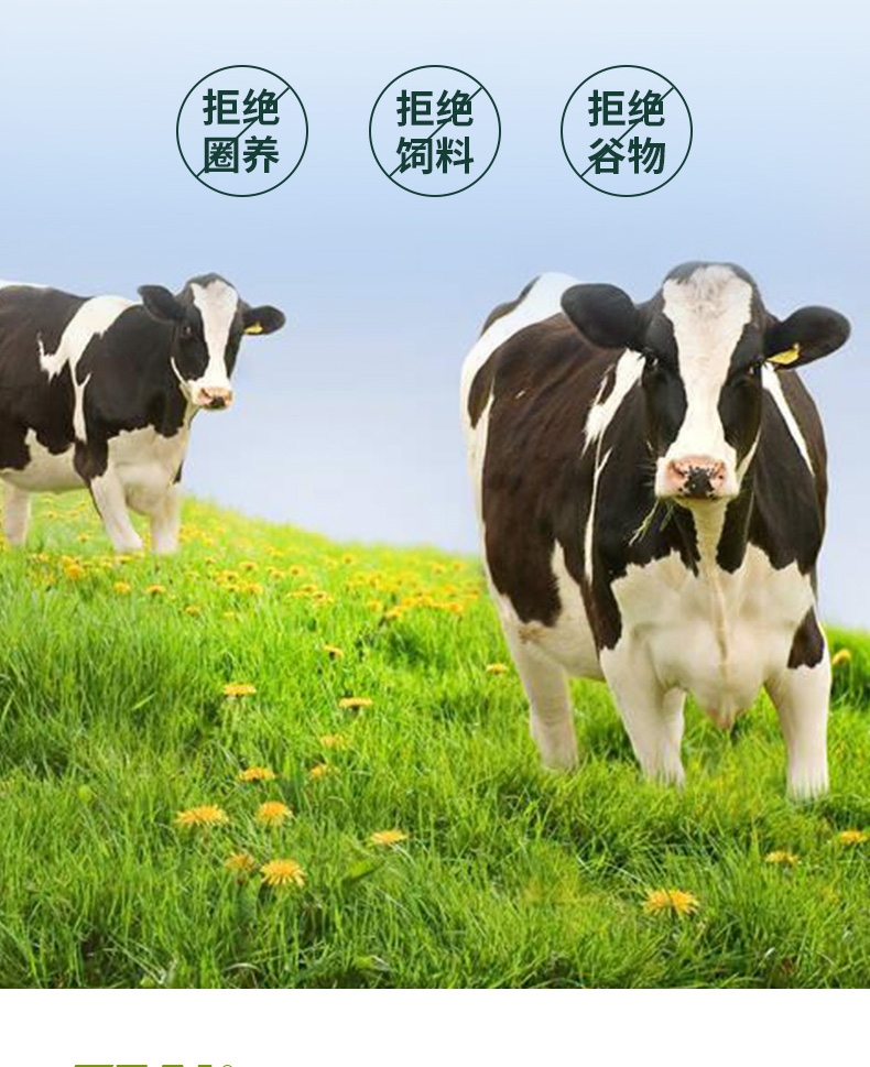 真致ZEAL 天然鲜牛乳犬猫专用牛奶 1L 宠物牛奶 新西兰进口