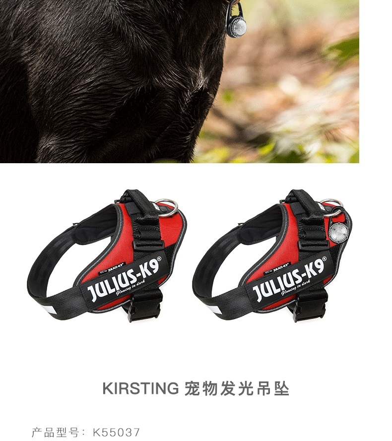 kirsting 安全发光吊坠项圈配件(挂钩款)遛狗灯