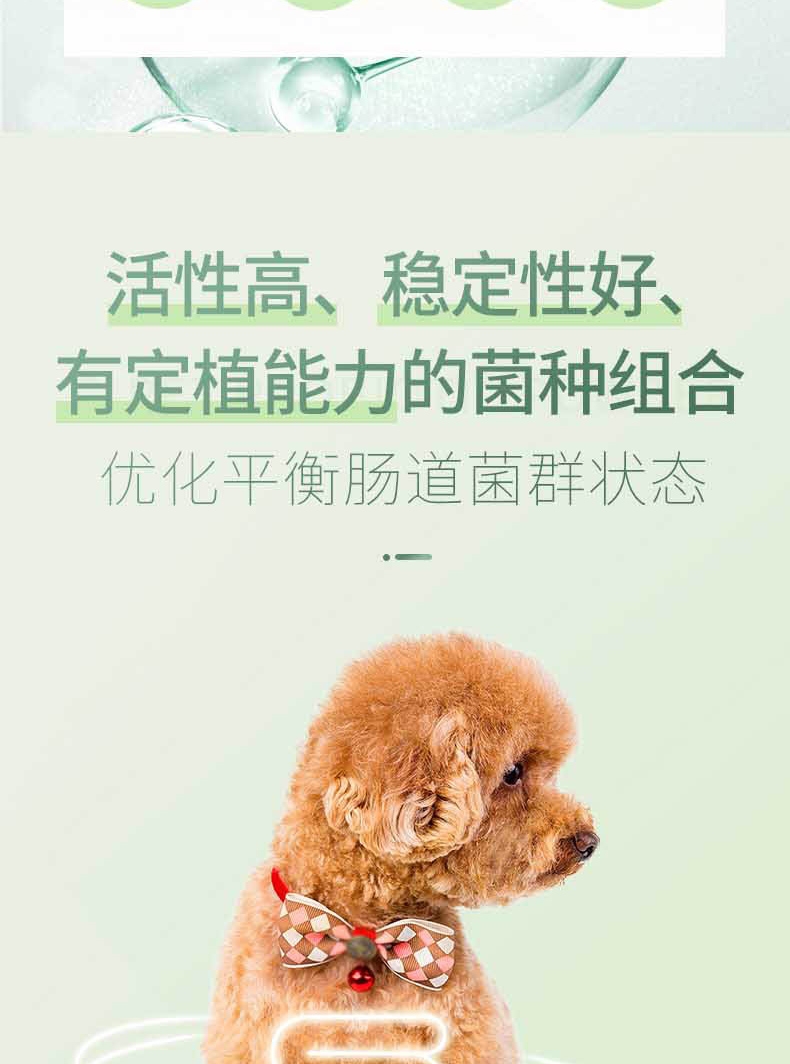 宠儿香g-pet 康源益生菌5g*5袋