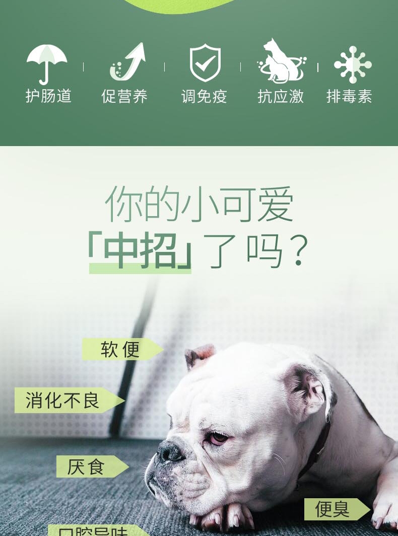 宠儿香 康源益生菌 5g*24袋 犬猫通用 调理肠胃