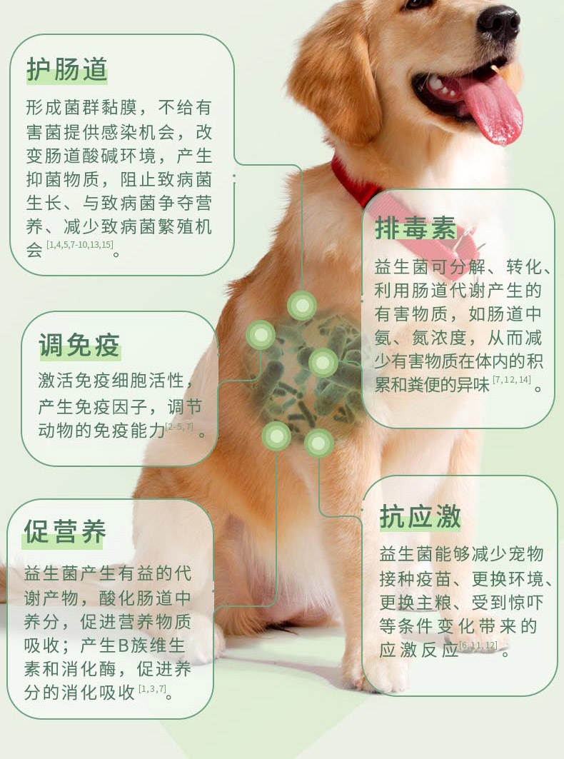 宠儿香 康源益生菌 5g*24袋 犬猫通用 调理肠胃