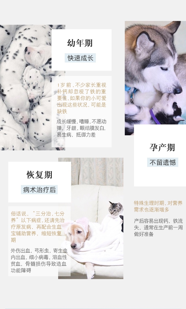 宠儿香g-pet 犬生血宝80g/支