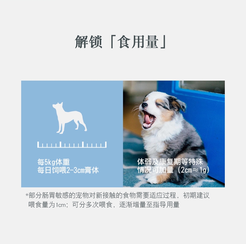宠儿香g-pet 犬生血宝80g/支
