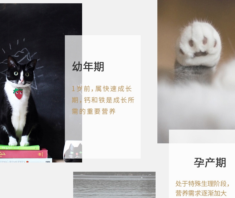 宠儿香g-pet 牛乳钙胶140g/支