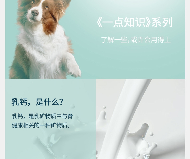 宠儿香g-pet 牛乳钙胶140g/支