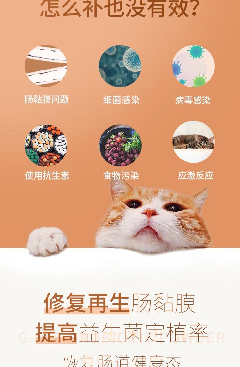 宠儿香g-pet 猫肠乐宝2.5g*10袋