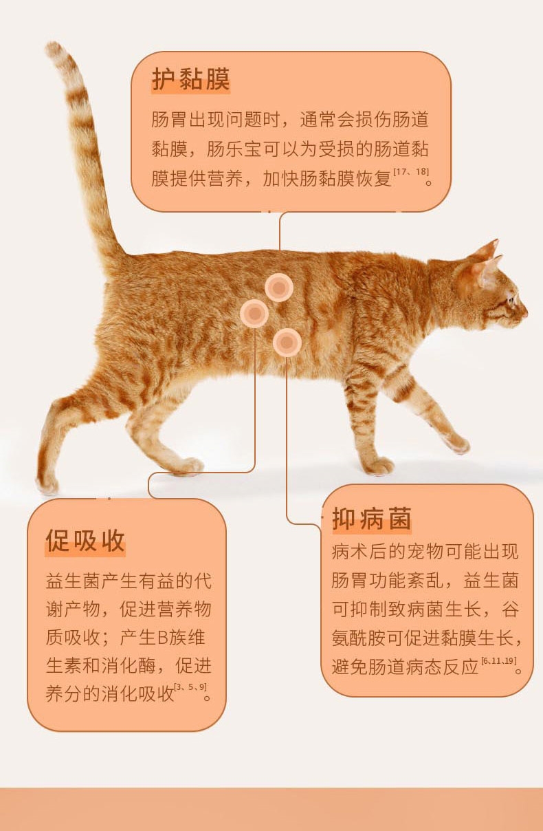 宠儿香g-pet 猫肠乐宝2.5g*10袋