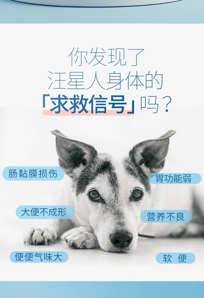 宠儿香g-pet 犬肠乐宝5g*5袋