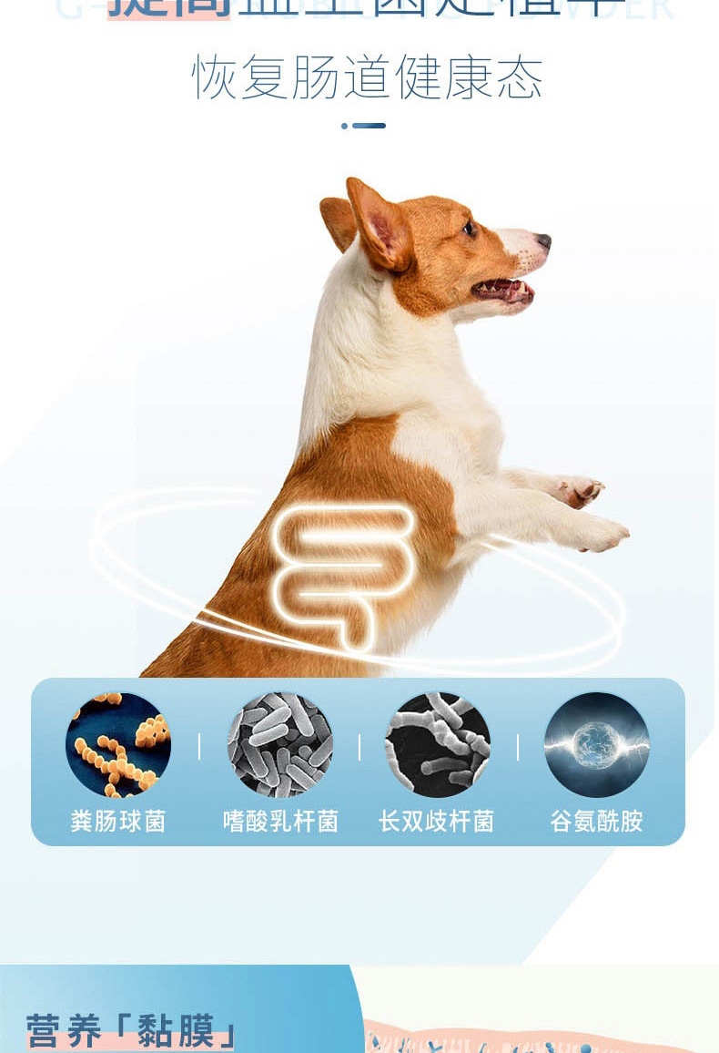 宠儿香g-pet 犬肠乐宝5g*5袋