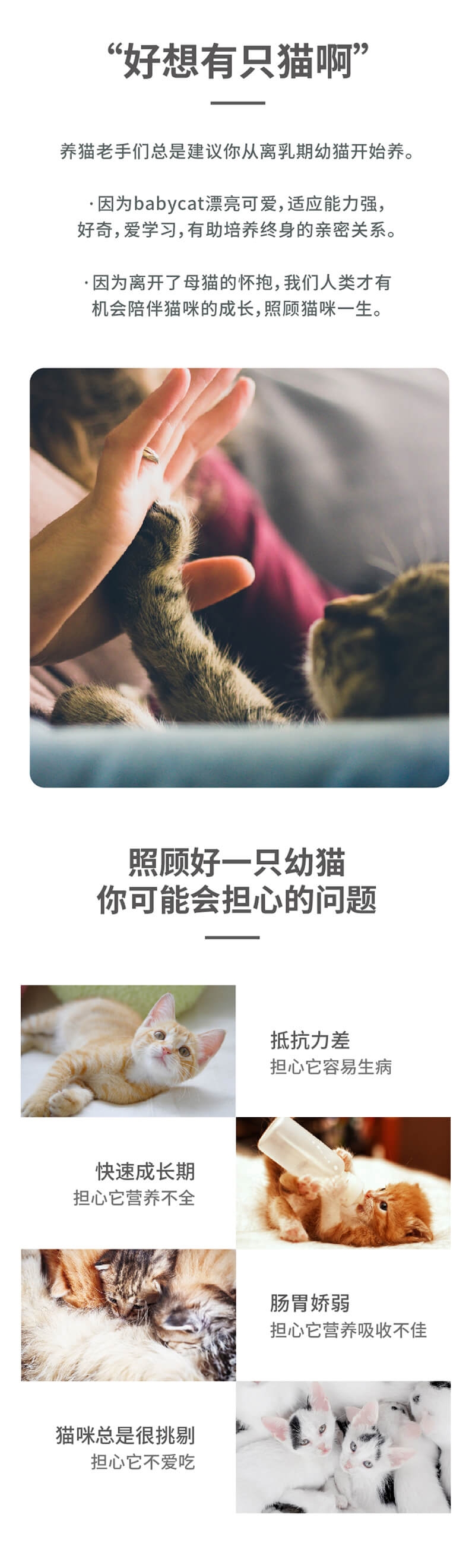 有鱼 离乳期幼猫及哺乳期母猫无谷猫粮 10kg 呵护肠胃