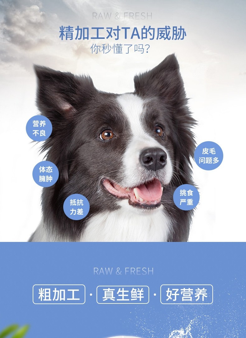 伯纳天纯无谷冻干深海御鲜全犬种全期犬粮12kg