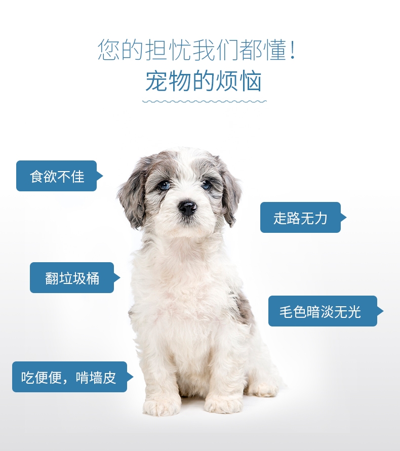 BOTH 犬用维生素微量元素营养颗粒 120g 纠正异食癖