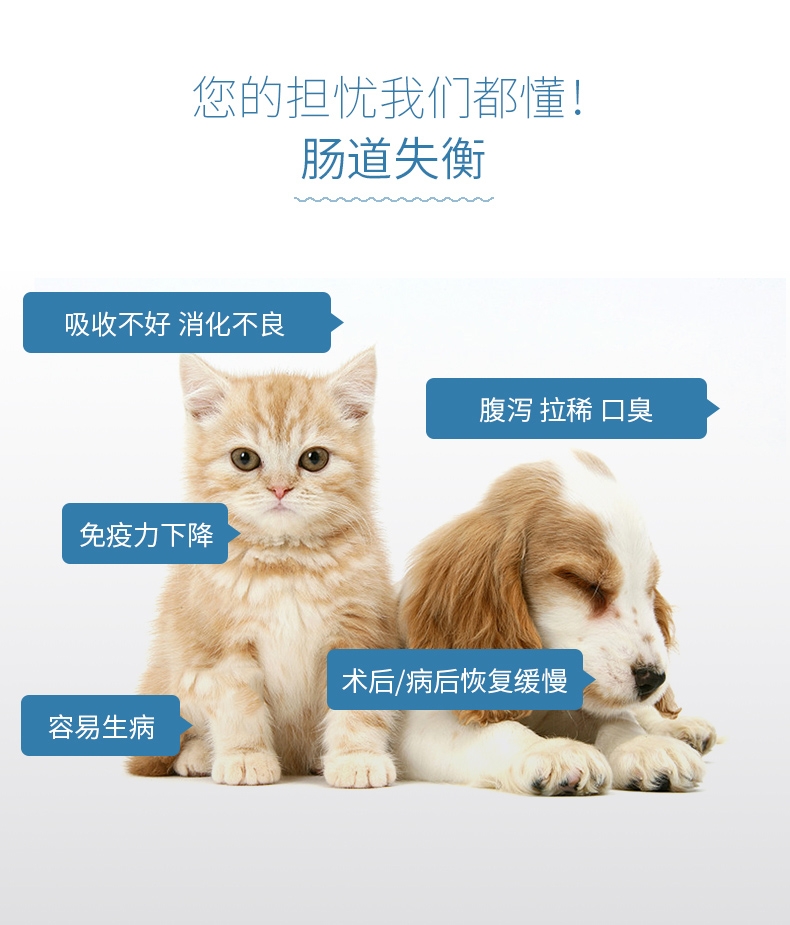 BOTH FOS益生菌整肠颗粒 20粒 犬猫通用 止腹泻护肠胃