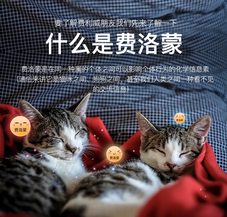 法国费利威Feliway 朋友30天补充液 48ml 舒缓情绪 无处不在