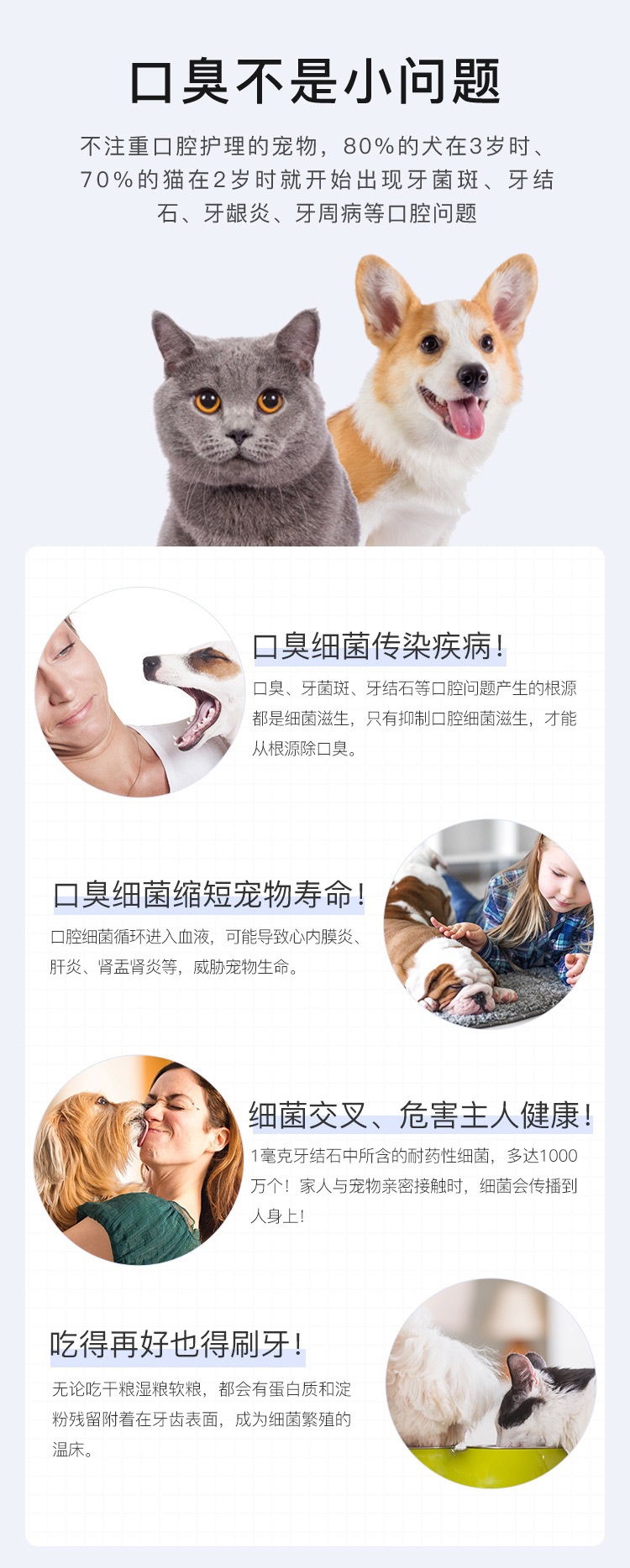 小壳 犬猫通用洁齿水150ml 改善牙疾 清新口气