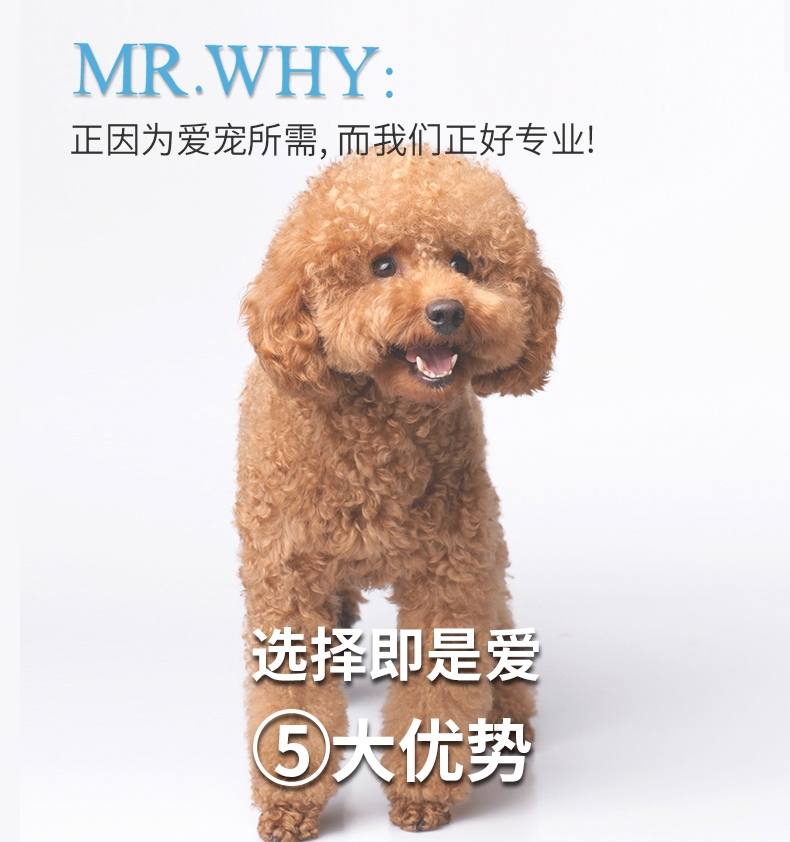 Mr.why 犬专用优+免疫力营养素 80g 提升免疫力 增加抵抗力 澳洲进口