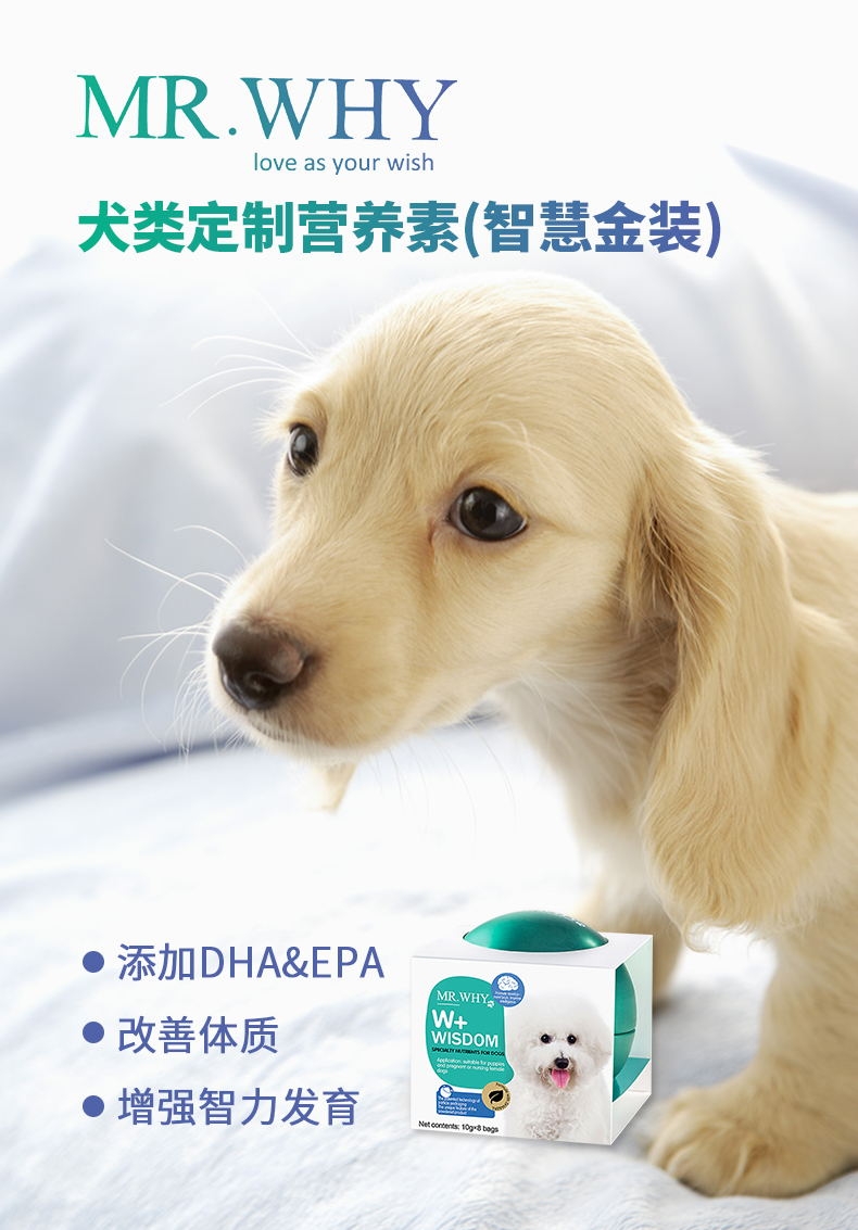 Mr.why 犬类智慧金装营养素80g 改善体质 增加智力发育 澳洲进口