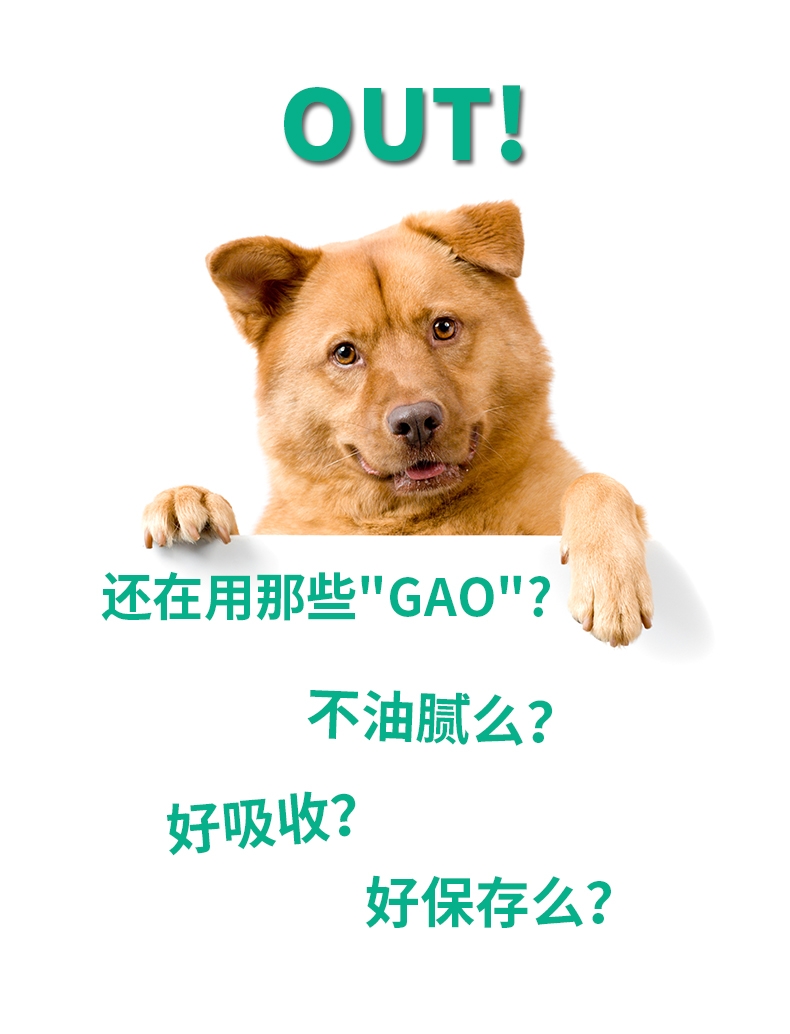 Mr.why 犬类智慧金装营养素80g 改善体质 增加智力发育 澳洲进口